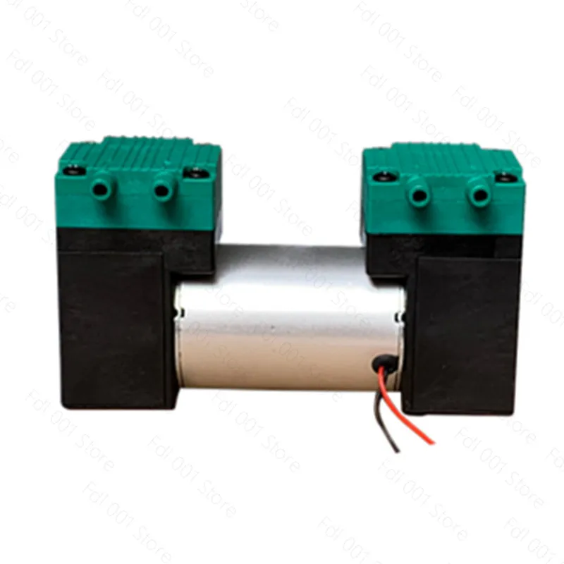 Dual Head Micro Diaphragm Air Pump, Multi-Voltage 12V/24V/220V, 20L/min Silent Air Pump for Aquarium & Inflatable Products