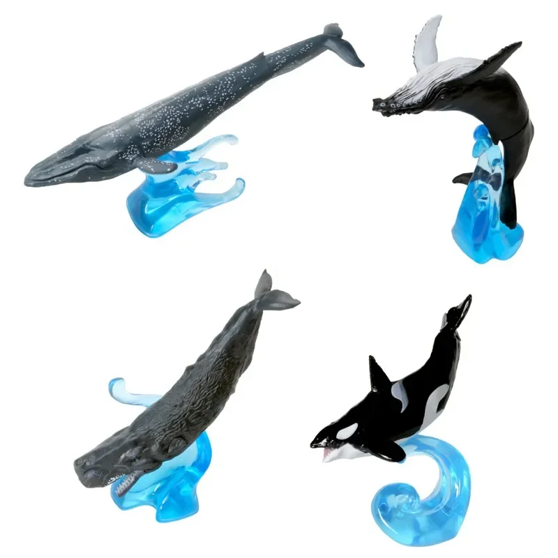 Japanese Genuine Gacha Scale Model Biological Cognitive Model Whale Blue Whale Orca Humpback Whale Action Figure Toys