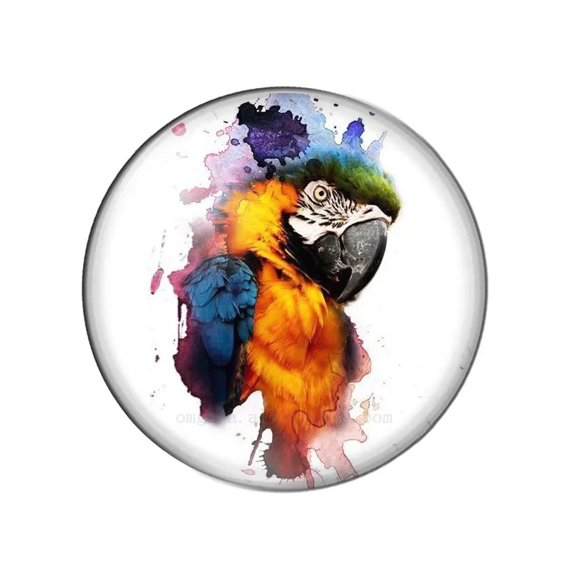 New 12mm/14mm/16mm/18mm/20mm/25mm Cartoon Animal Parrot Bird Round Photo Glass Cabochon Demo Flat Back Making Findings