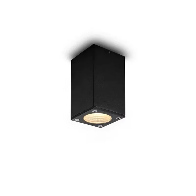 for  Modern High Quality Design 5W  Aluminum Black LED Outdoor Ceiling Light Color Temperature 3000K Ra90