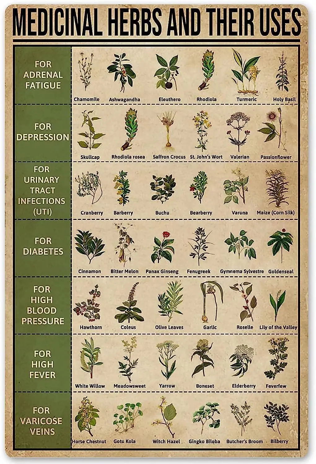 Flyhaw Medicinal Herbs and Their Uses Posters Metal Signs Wall Decor Room Decor Metal Signs Wall Decor 8x12 Inches