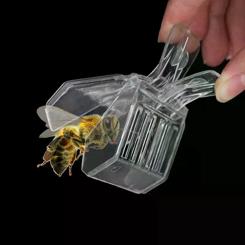 3/5 Transparent Clip-on Bee Cages, Plastic Clips, Queen Cages, Bee Catchers, Beekeeping Tools