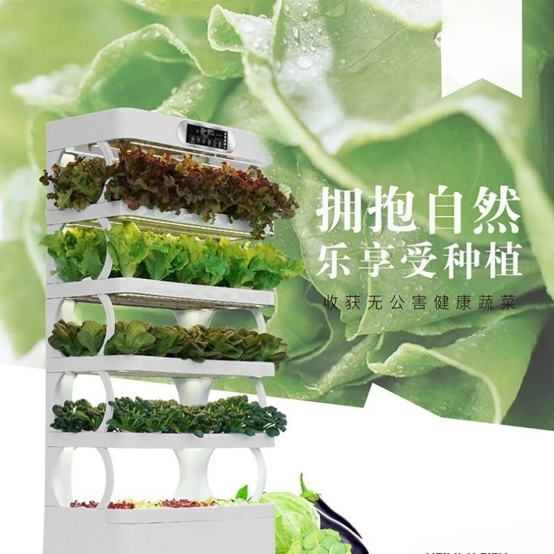 Soilless Cultivation Home Office Hydroponics Succulent Floral Fragrant Strawberry