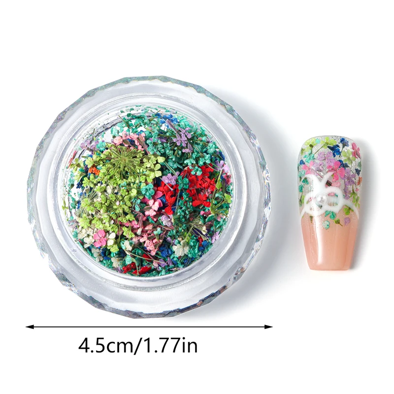 Requintado flor seca para Nail Art decoração, flor delicada, beleza encantos acessórios, 1 caixa