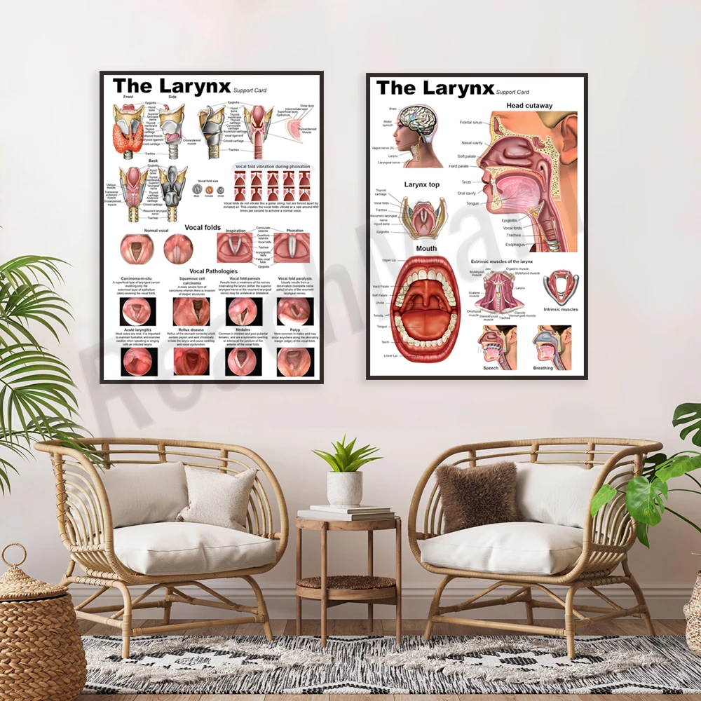 Laryngeal anatomy, voice pathology, vocal cords, extrinsic and extrinsic laryngeal muscles, phonation and oral mechanics posters