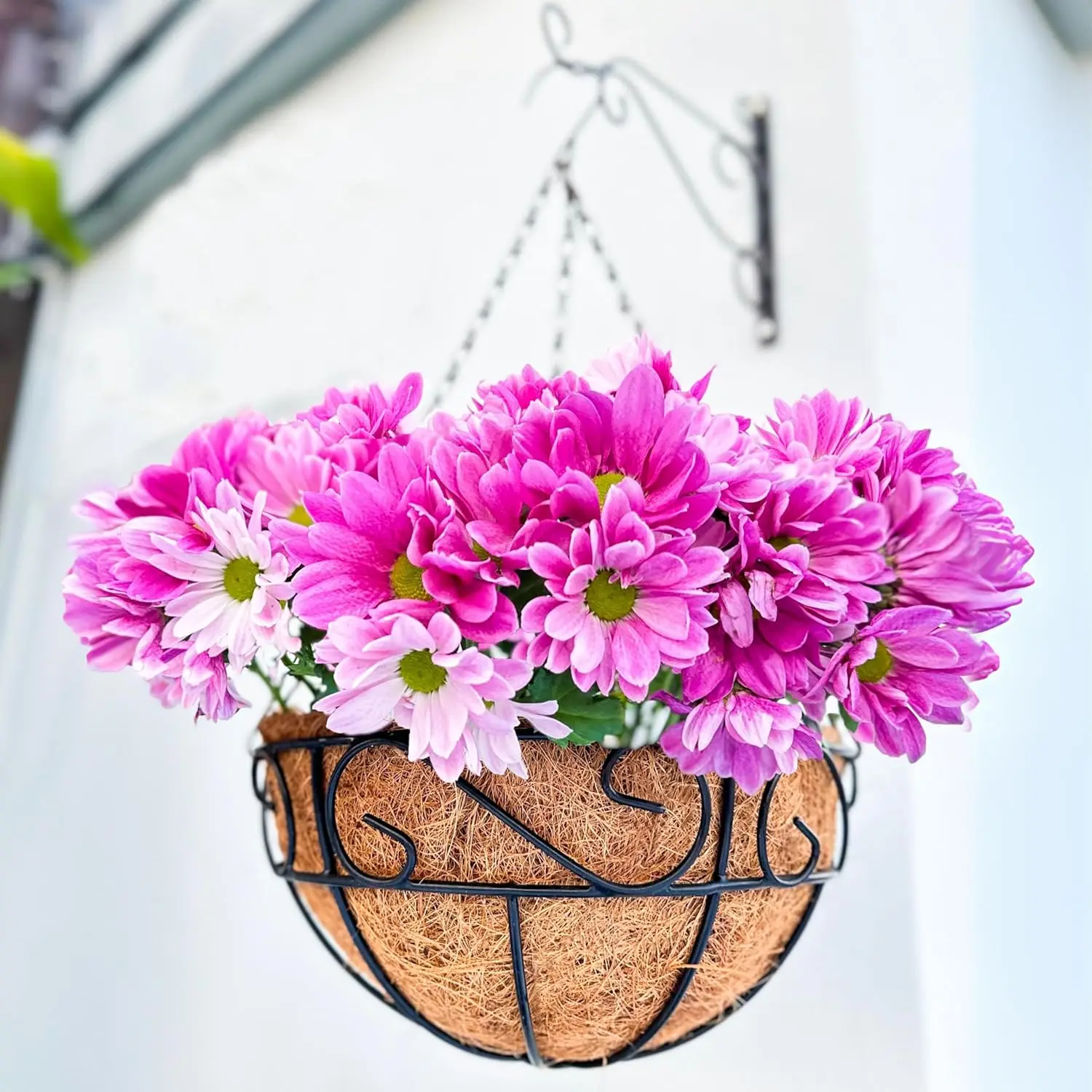 

Подвесное кашпо 16 дюймов с кокосовым вкладышем, 2 шт., черные металлические проволочные корзины для цветов для декора балкона, веранды, сада