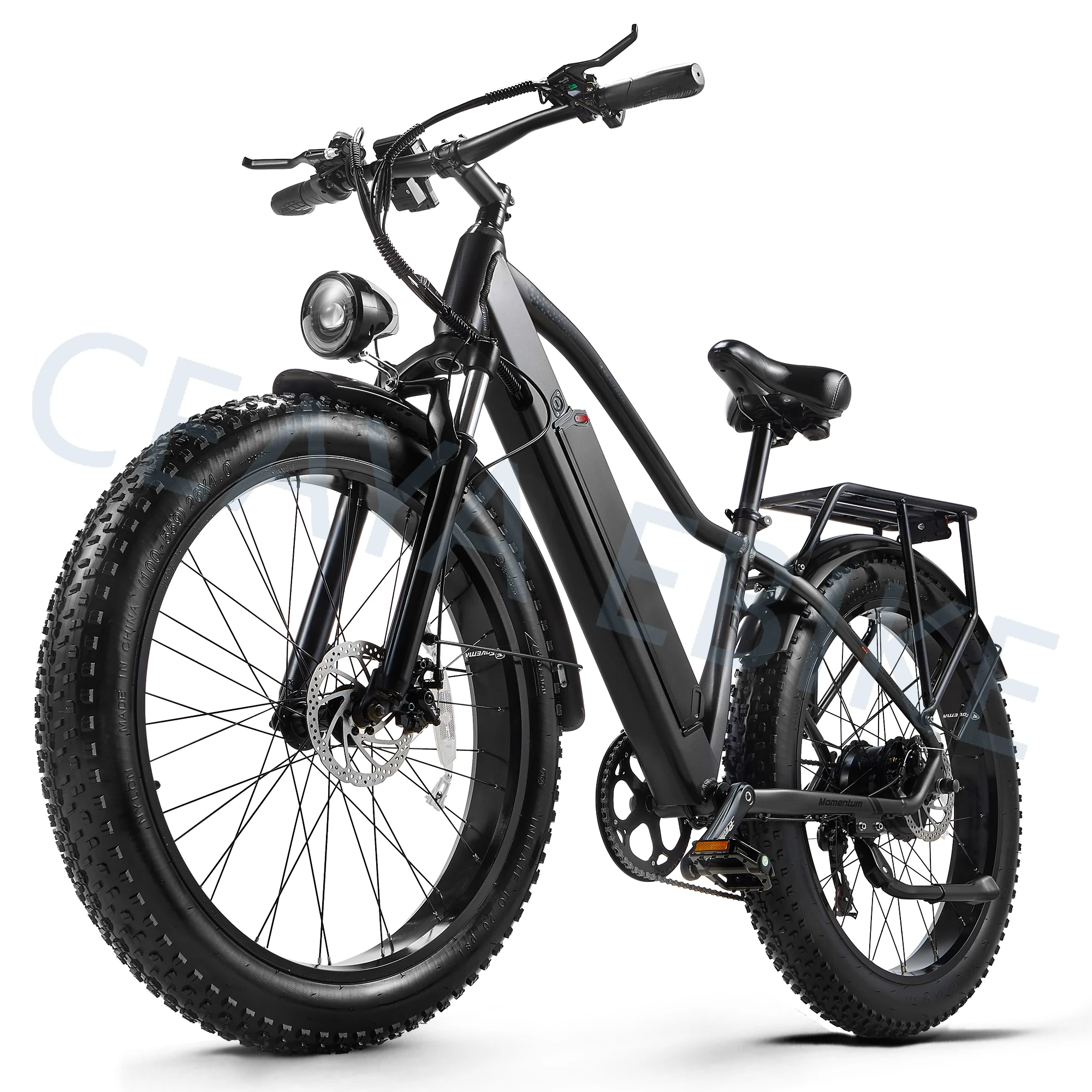 Electric Bike 26 Inch RX20 Electric Bicycle 48V20Ah Men Women E MountianBike Adult Fat Tire Ebike With 7 Speed