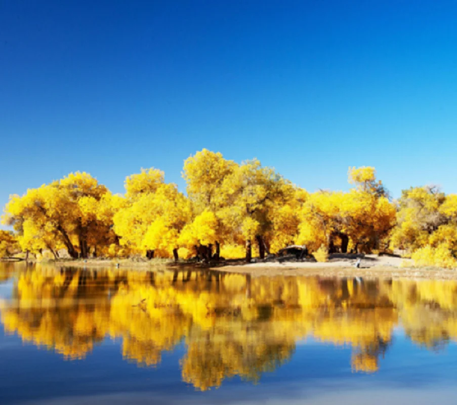 

12,3-дюймовый Qled-экран для AUDI A5 A4 A4L 2017-2020 Android 13, автомобильный радиоприемник, мультимедийный видеоплеер, стерео GPS CarPlay