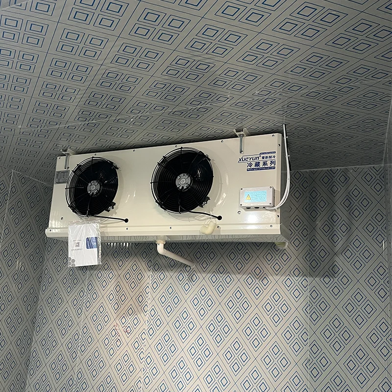 Refrigerazione commerciale ad alta efficienza Sala di raffreddamento mobile Congelatore per celle frigorifere Camminata nel frigorifero Pannelli per celle frigorifere