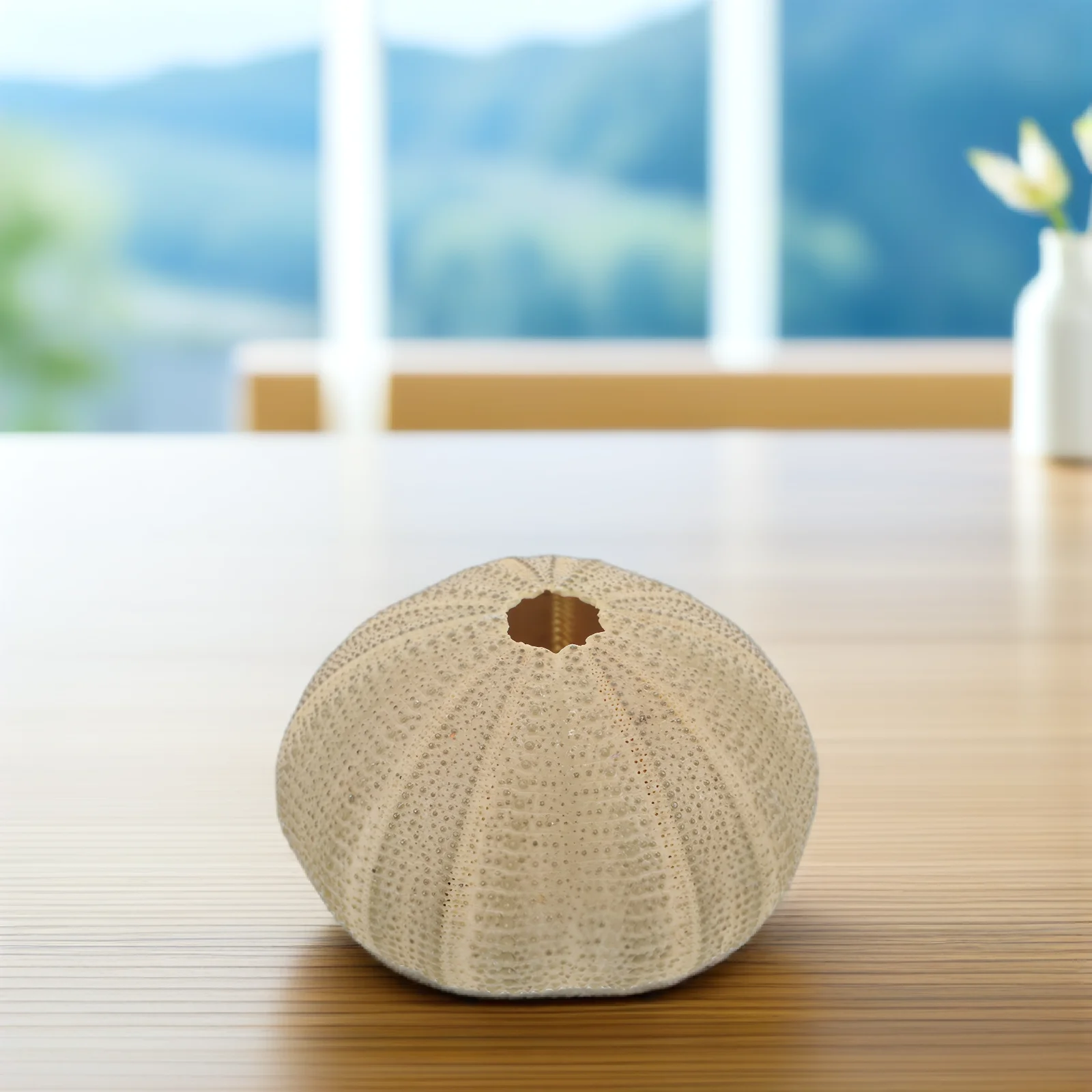 6 قطعة قذائف قنفذ البحر 4 6 سنتيمتر قذائف قنفذ البحر الطبيعي للحرف اليدوية المواد ديكور المنزل خزان الأسماك حلية آمنة ممتازة DIY بها بنفسك