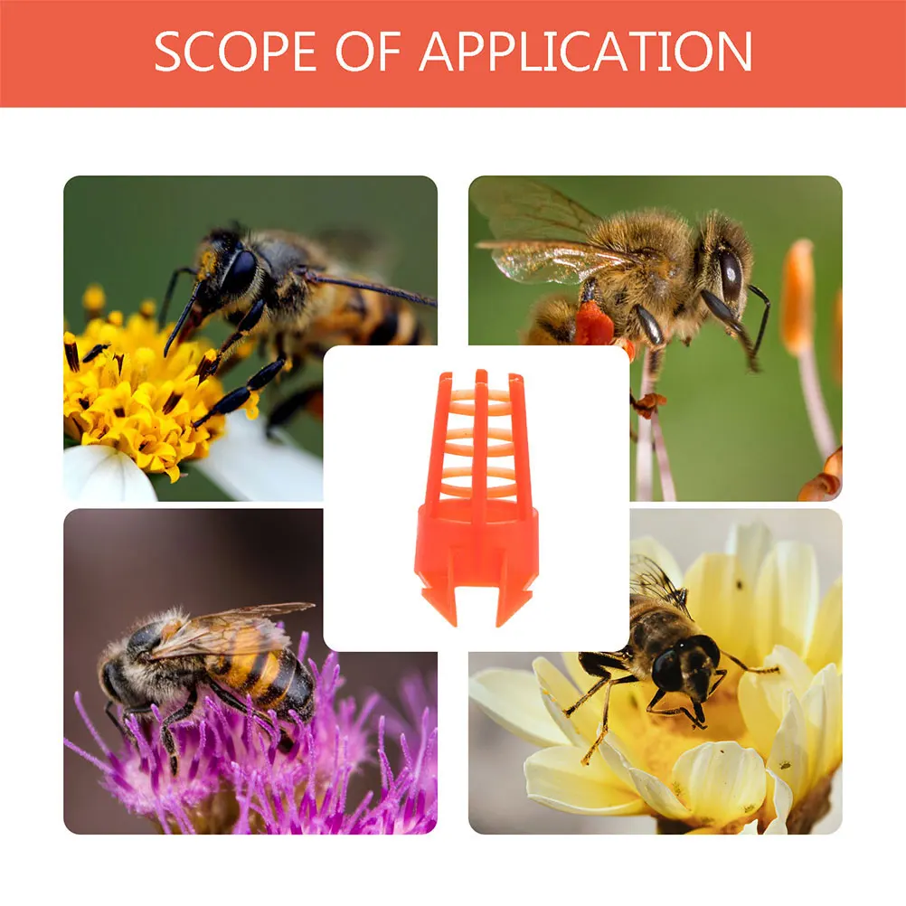 

60 Pcs Cell Protectors Beekeeping Tools Apiculture Supplies Plastic Wangtai Protective Covers For Bee Queen Rearing