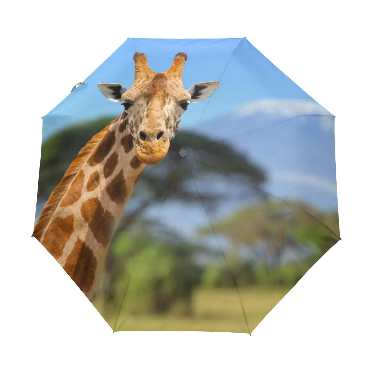 

Lovely Giraffe Animal Windproof Travel Umbrellas Grassland Creatures Folding Rain Umbrella Compact Lightweight for Teens Adults