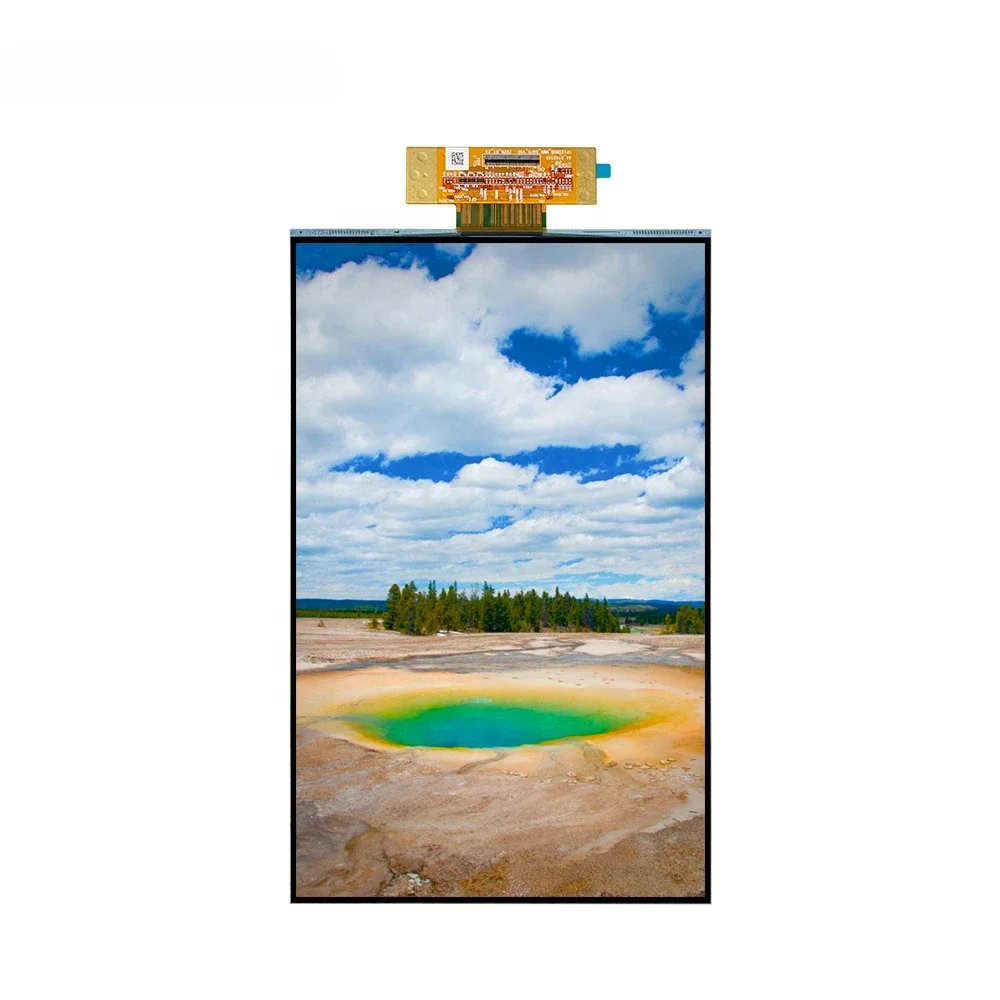 

Бесплатный образец 1200*1920 10,5-дюймовый гибкий Tft ЖК-дисплей для носимых устройств