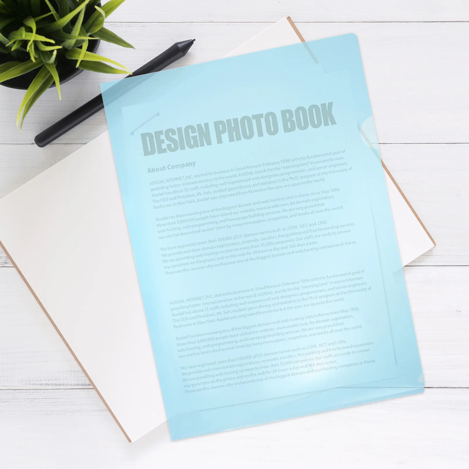 12 قطعة من مجلدات الملفات البلاستيكية الشفافة، واقيات المستندات A4، منظم الأكمام الورقية، ملحقات الدراسة المكتبية