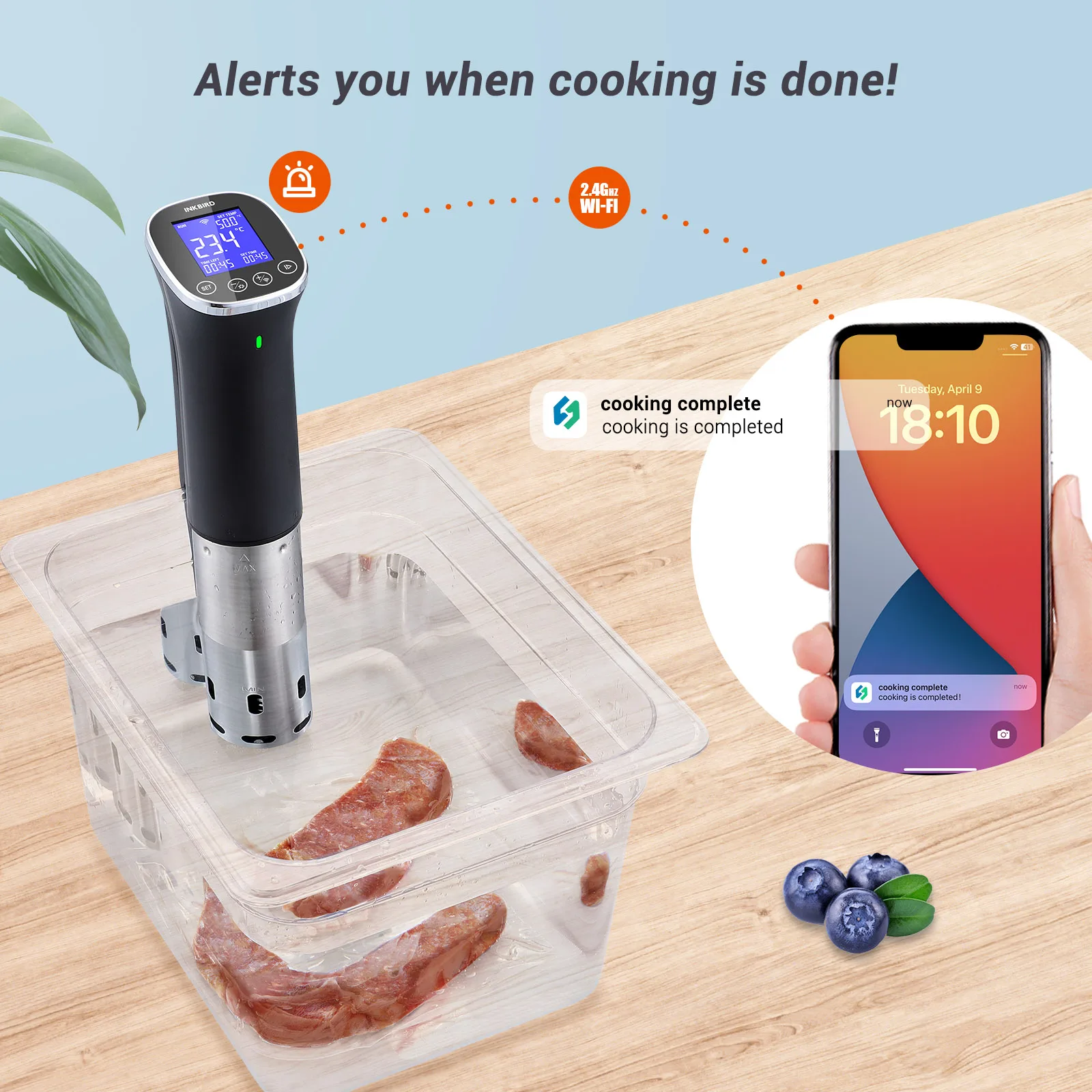 Imagem -03 - Inkbird-waterproof Wifi Sous Vide Machine App Controle Remoto Receita Alarmes Função de Reserva Ipx7 Isv300w