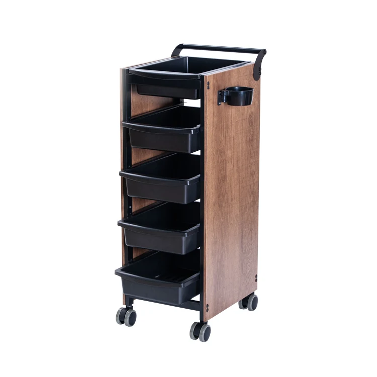 

Trolley Deluxe Hair Salon with Wheels Multifunctional Professional Beauty Plastic and Wood Salon Furniture