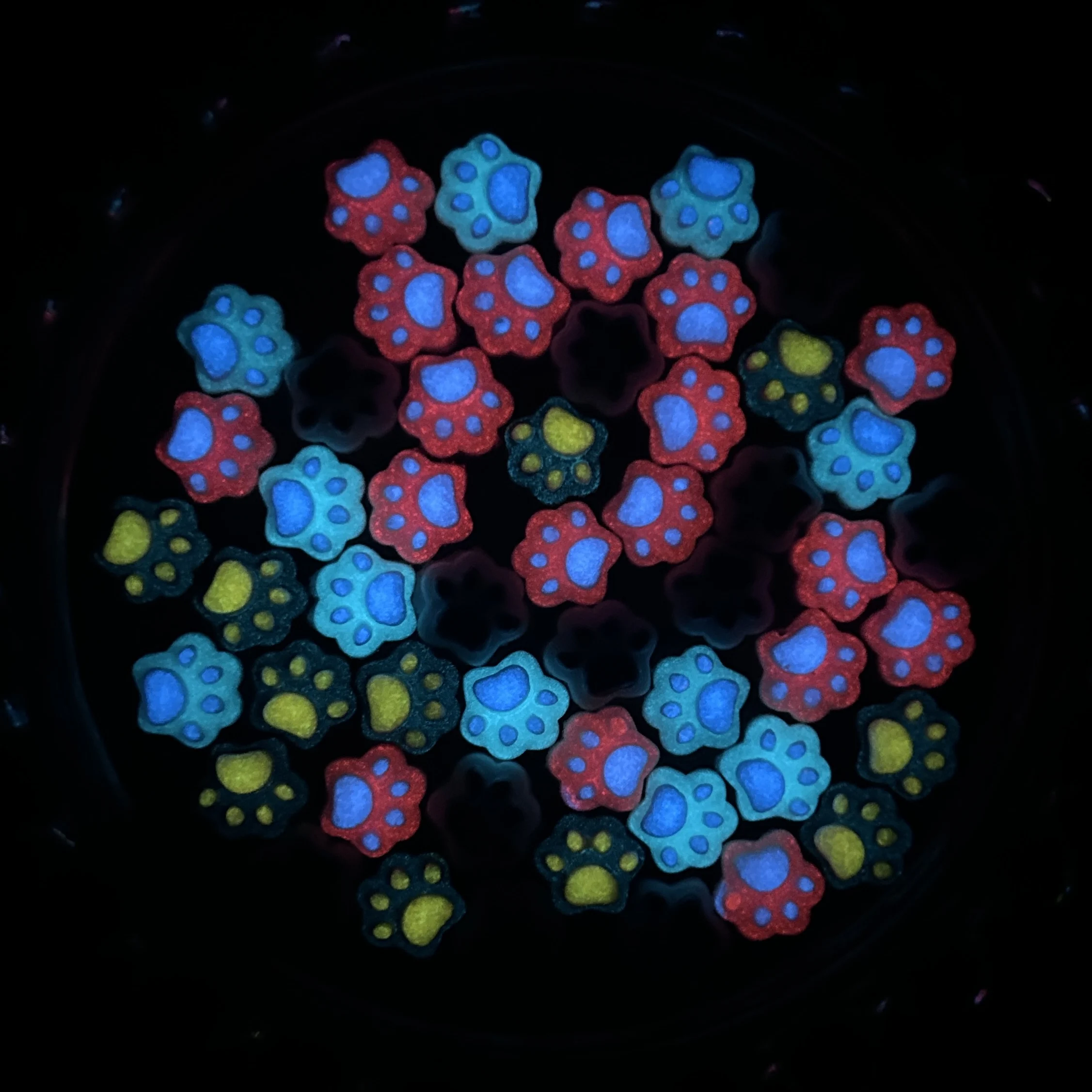 20 pezzi luminosi adorabili artigli per cuccioli pendenti per unghie in resina colorati creativi artigli di animali simulati decorazioni per unghie per unghie fai da te