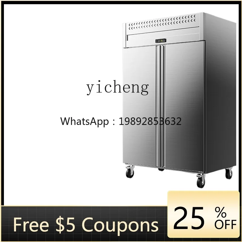 

Tqh Fast Frozen Refrigerator Frozen Freezer Sea Cucumber Steamed Stuffed Bun Mousse Strip Cabinet Low Temperature