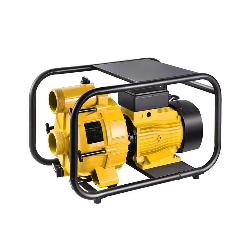 Self-Priming Sewage Mud Pump Septic Tank Pond Sludge Sewage Pump 2-Inch/3-Inch Large Flow Agricultural Centrifugal