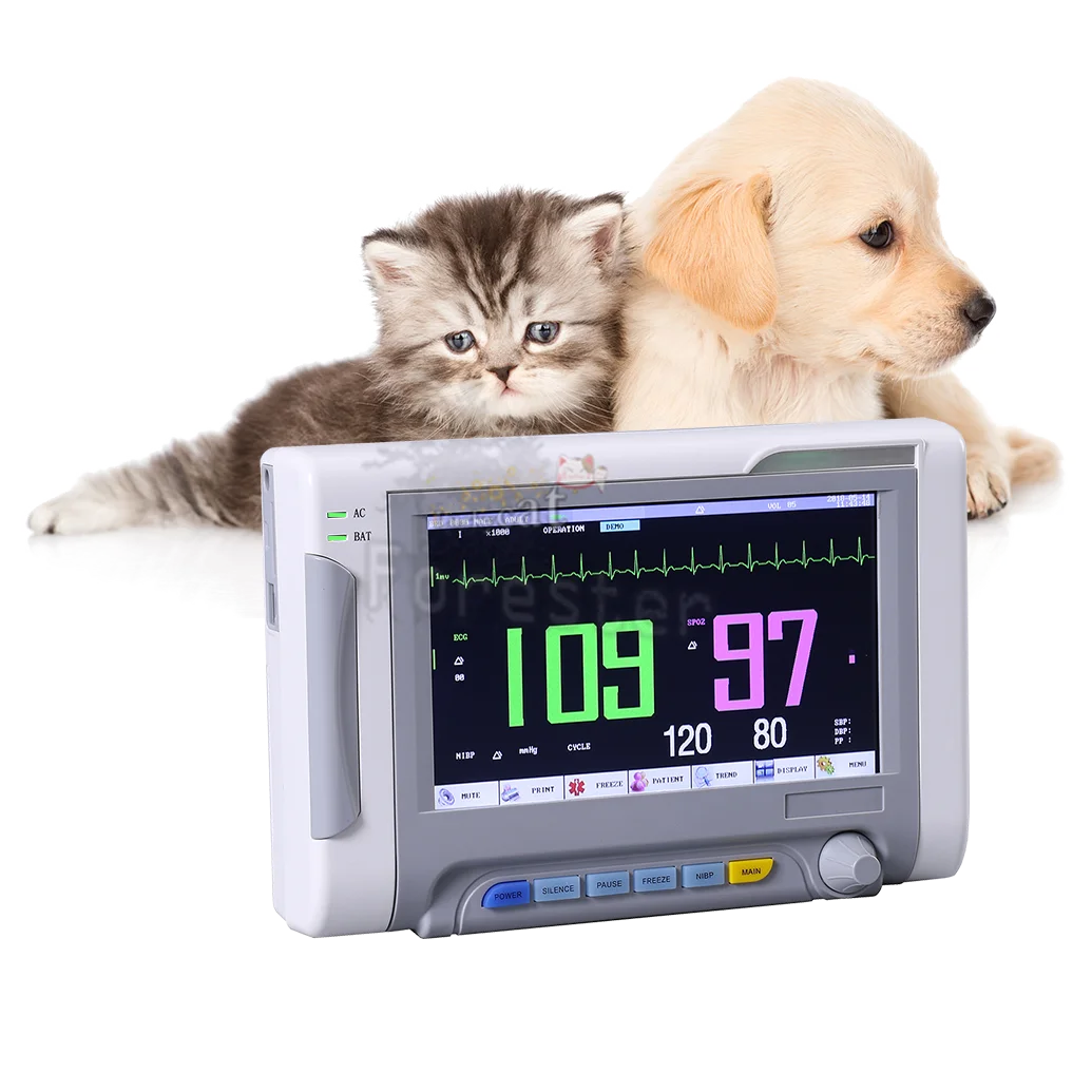 Monitor veterinario portátil de 6 parámetros para pacientes, Monitor de signos vitales portátil de 7 pulgadas, ECG/NIBP/PR/SPO2/RESP/TEMP