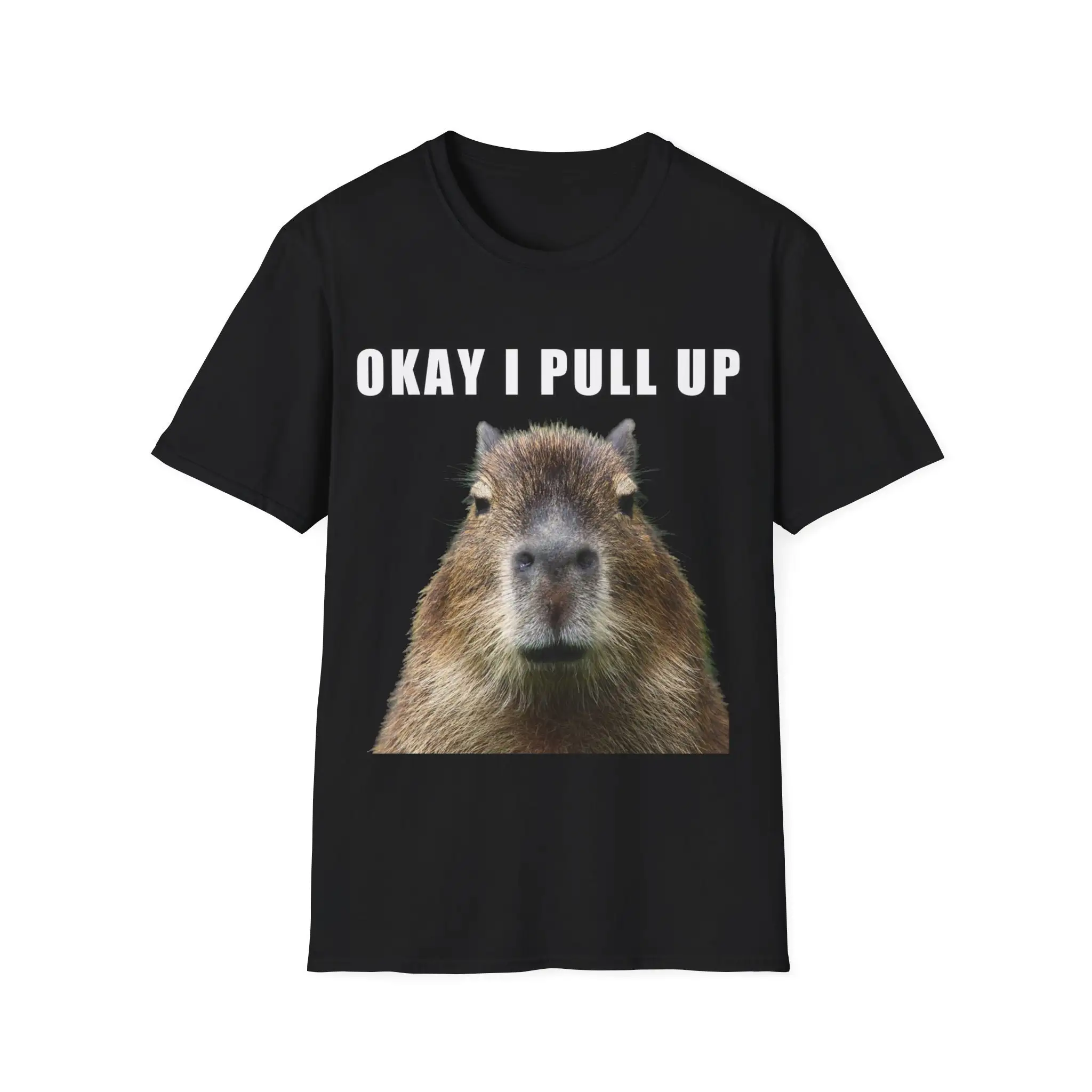 Capybara Ok I Pull Up Funny Meme Animal Lover For Veterinarian T Shirt