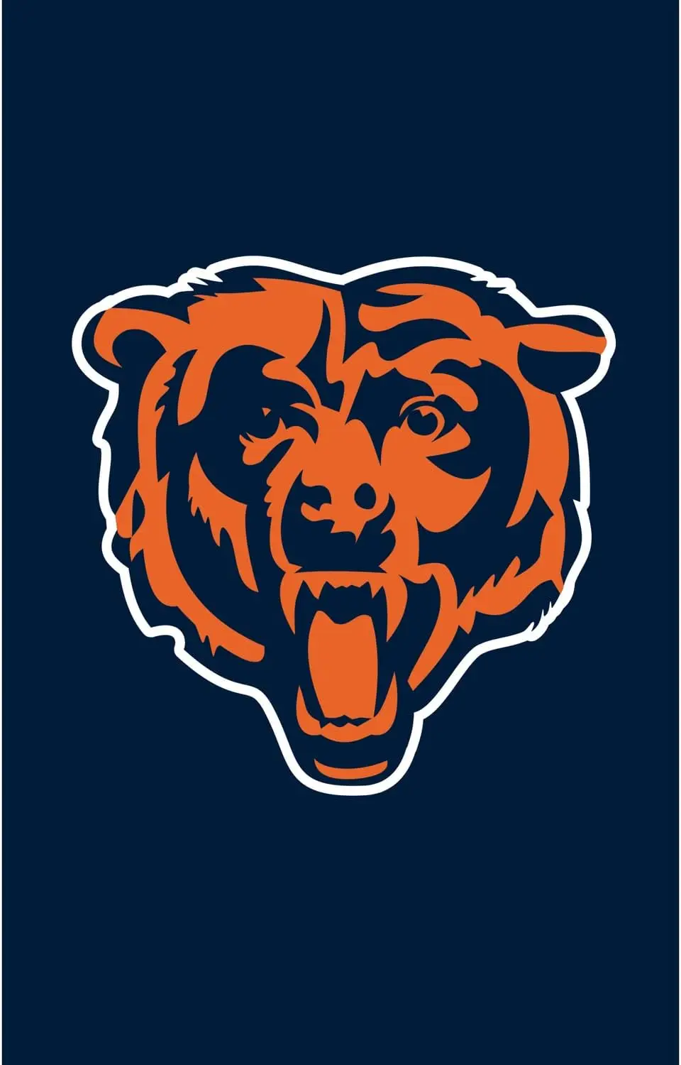 Evergreen Chicago Bears Applique House Flag 28 x 44 Inches Outdoor Decor for Homes and Gardens