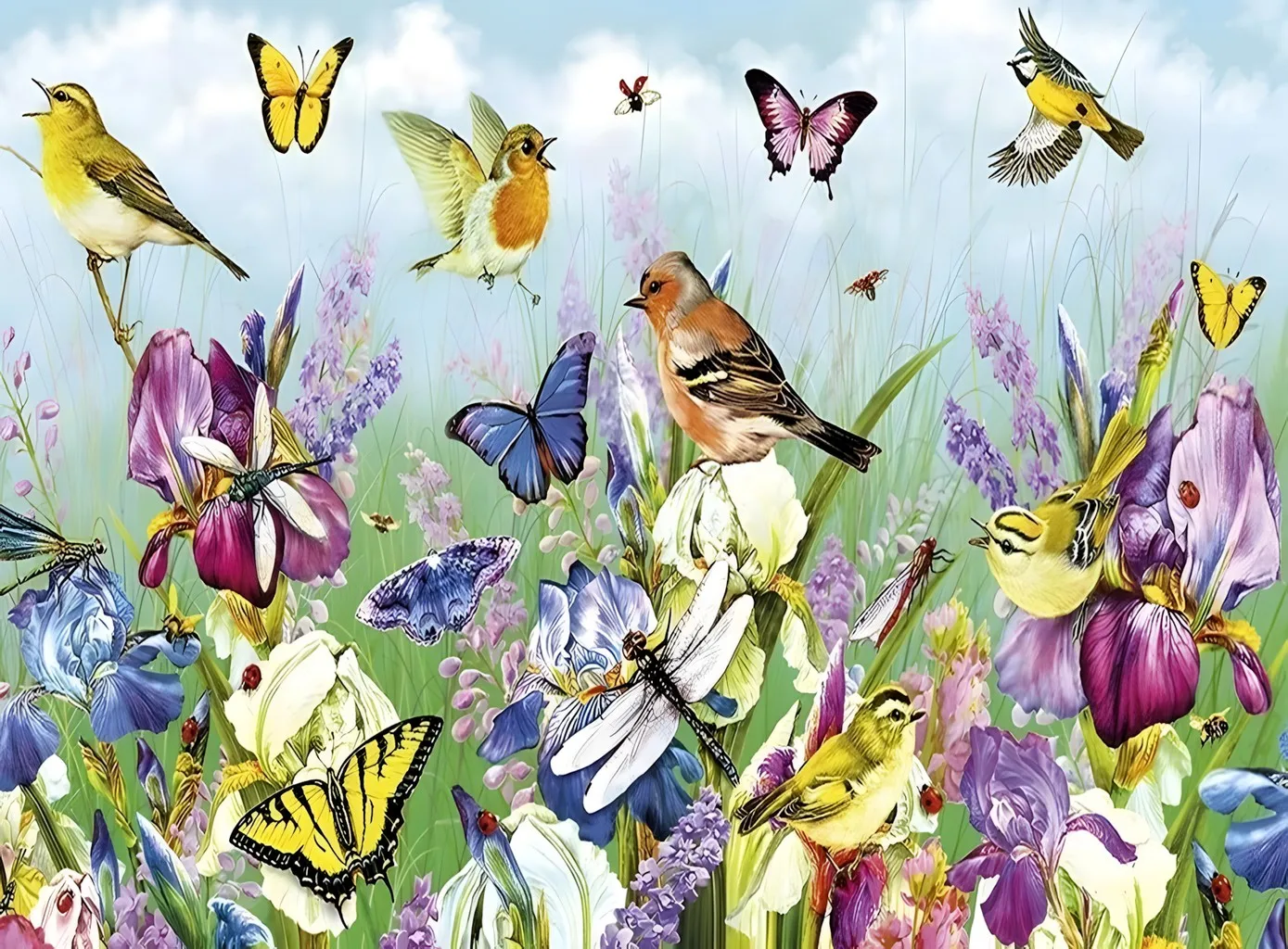 Jmine Div 5D Butter… - image