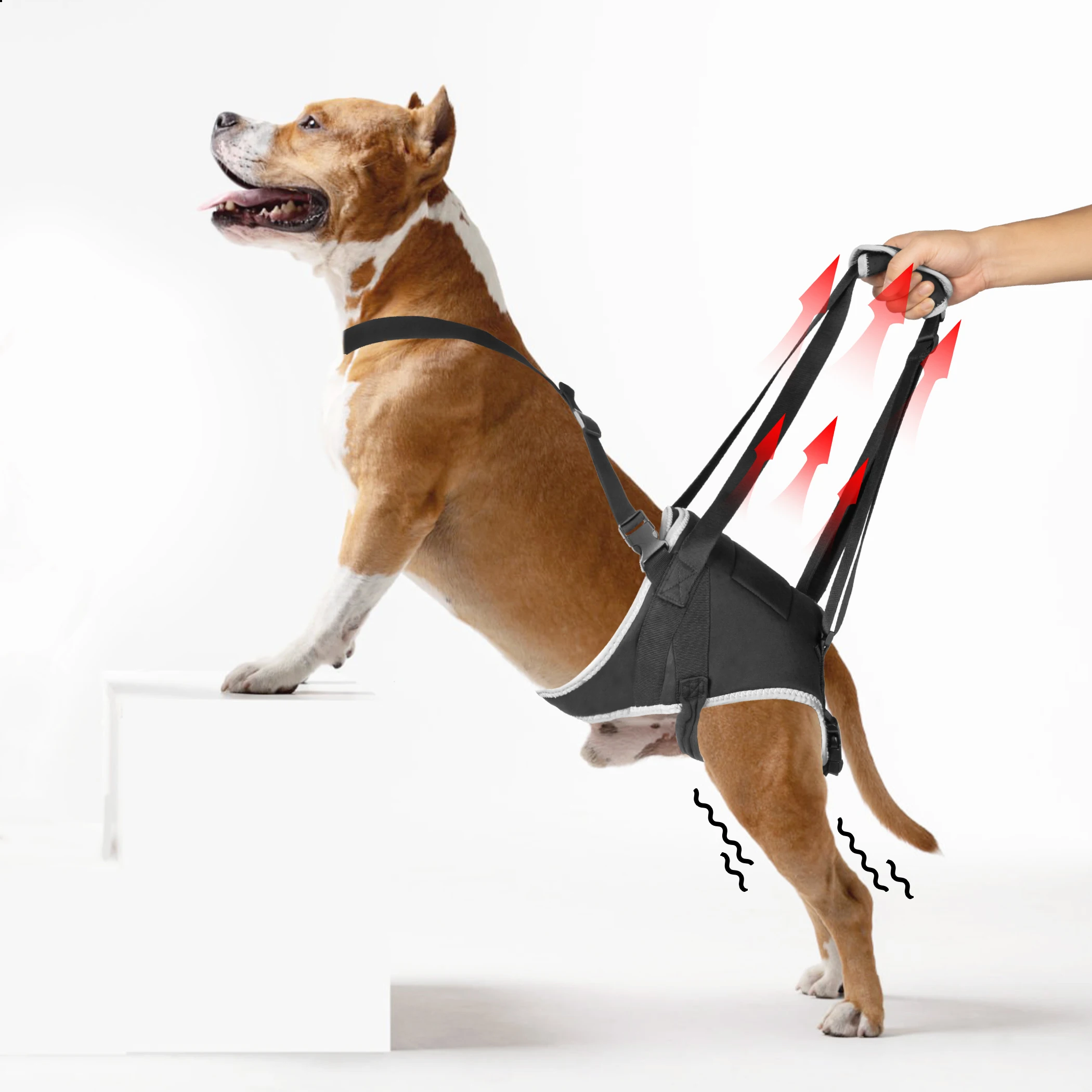 

Pet Rear Thigh Lift Harness Adjustable Dog Hind Leg Lifting Sling Support And Recovery Strap For Rear Limb Rehabilitation