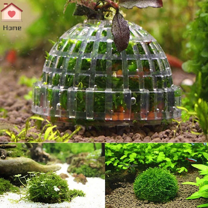 Suministros de decoración para mascotas acuáticas, Bola de musgo para acuario, filtro de plantas vivos para camarones de Java, pecera, productos