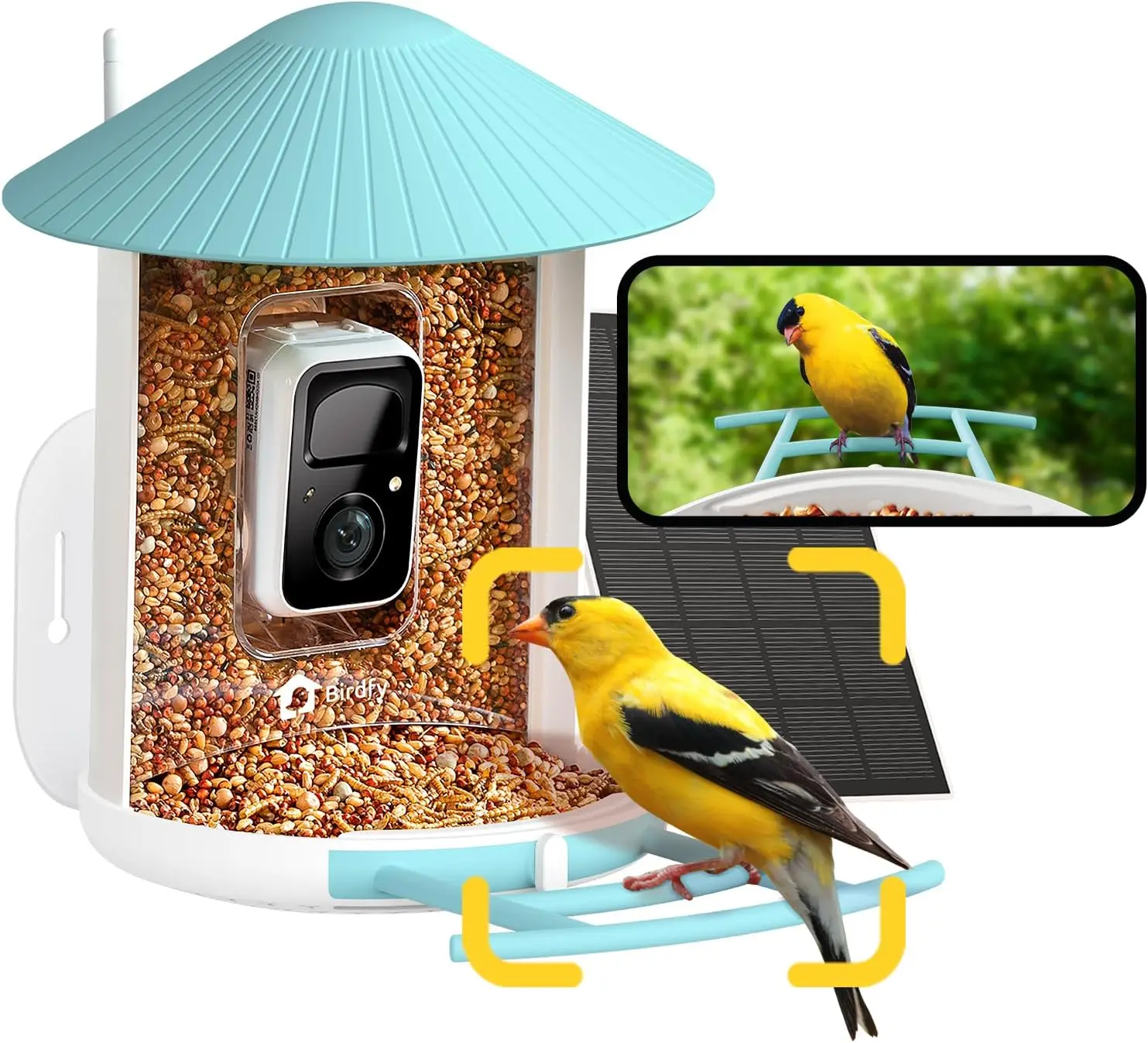 

NETVUE Birdfy AI Smart Bird Feeder with Camera Solar Powered, AI Auto Capture Each Bird Come & Identify 6000+ Bird Species,