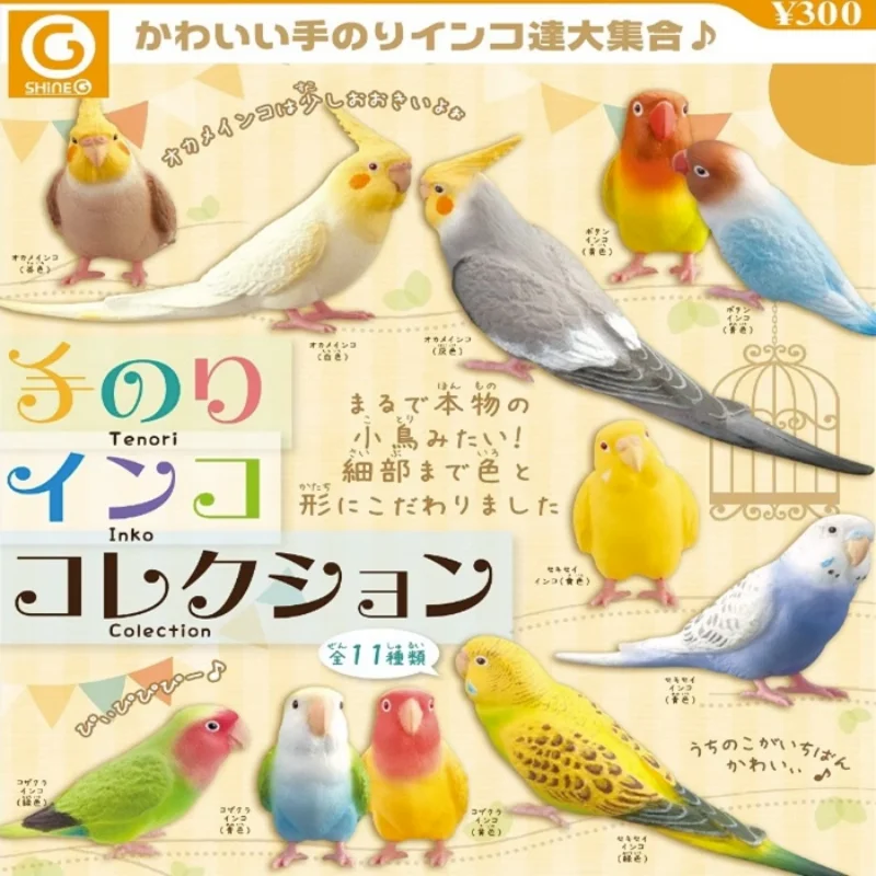 

SHINE-G Japan Gashapon Figure Cute Kawaii Parakeet Parrot Figurine Anime Gachapon Capsule Toys Creativity Gift Desktop Decor