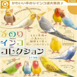 SHINE-G Japan Gashapon Figure Cute Kawaii Parakeet Parrot Figurine Anime Gachapon Capsule Toys Creativity Gift Desktop Decor