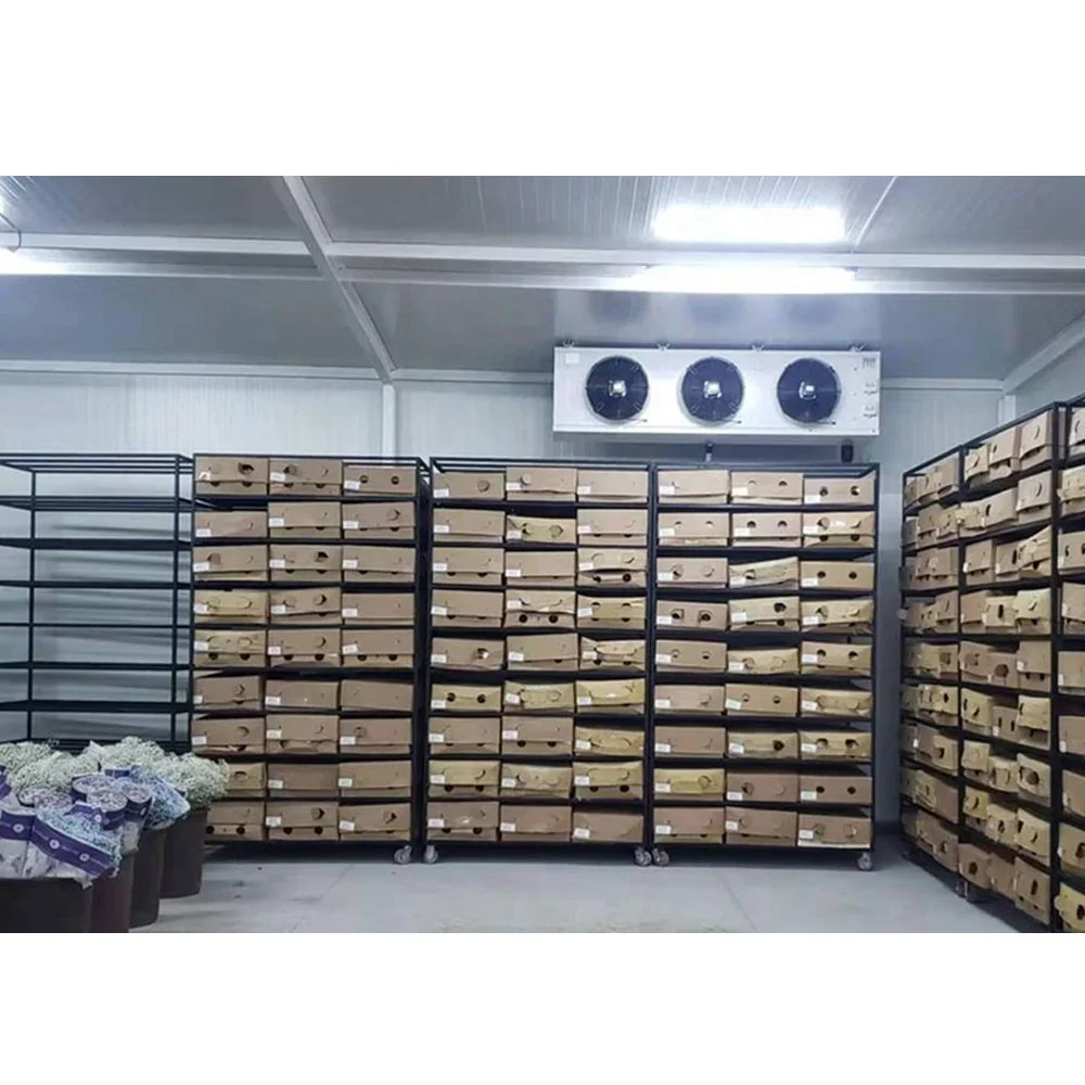 Potato Storage Room Food Storage Cooling System Air Cooler For Various Cold Storage