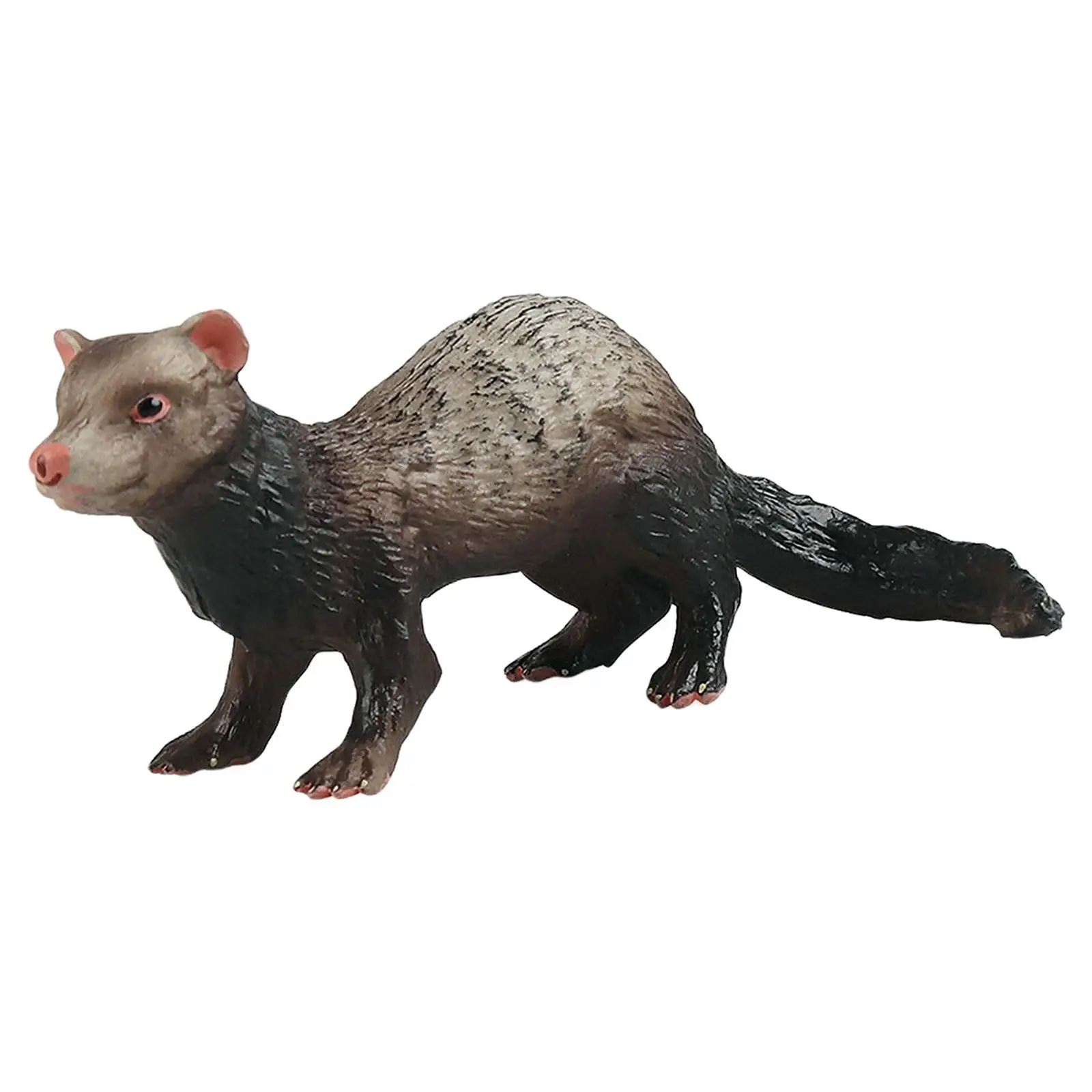 Figurines de simulation de furet d'Auckland, modèle animal, jouet d'apprentissage, ensemble de jeu créatif, cadeaux d'anniversaire