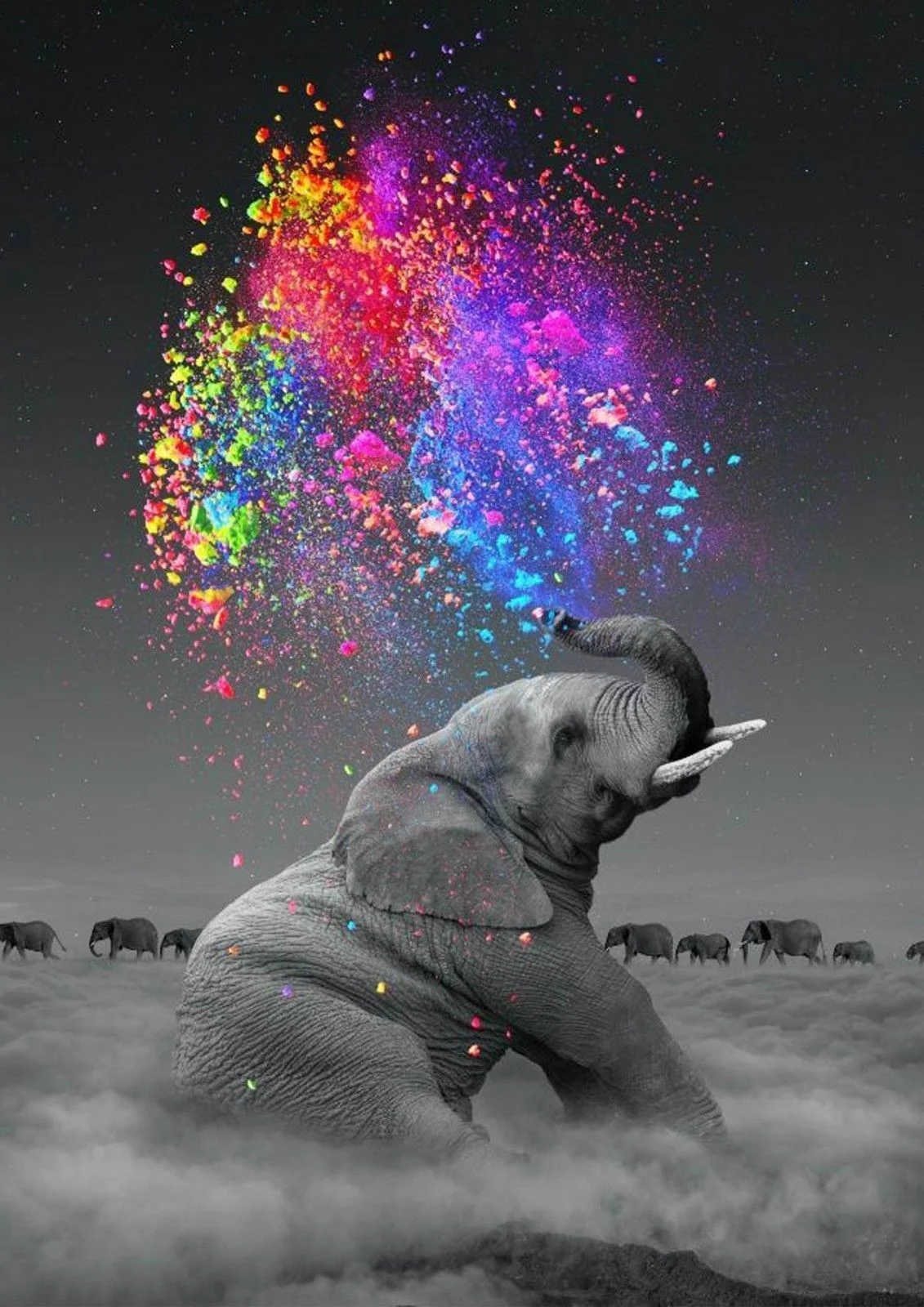 ELEPHANT SQUIRTING COLOURFUL Art Film Print Silk Poster Home Wall Decor 24x36inch