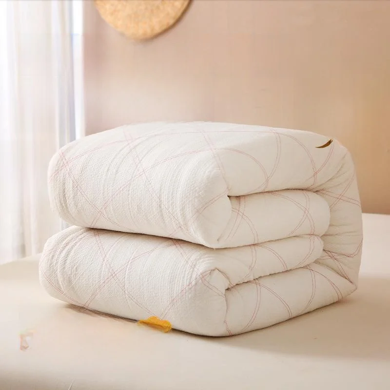 

Thiened Home Use Cotton Quilt Student Dormi Single Quilt Warmth 0 Jin Quilt Core Spring Autumn Winter Cotton Quilt