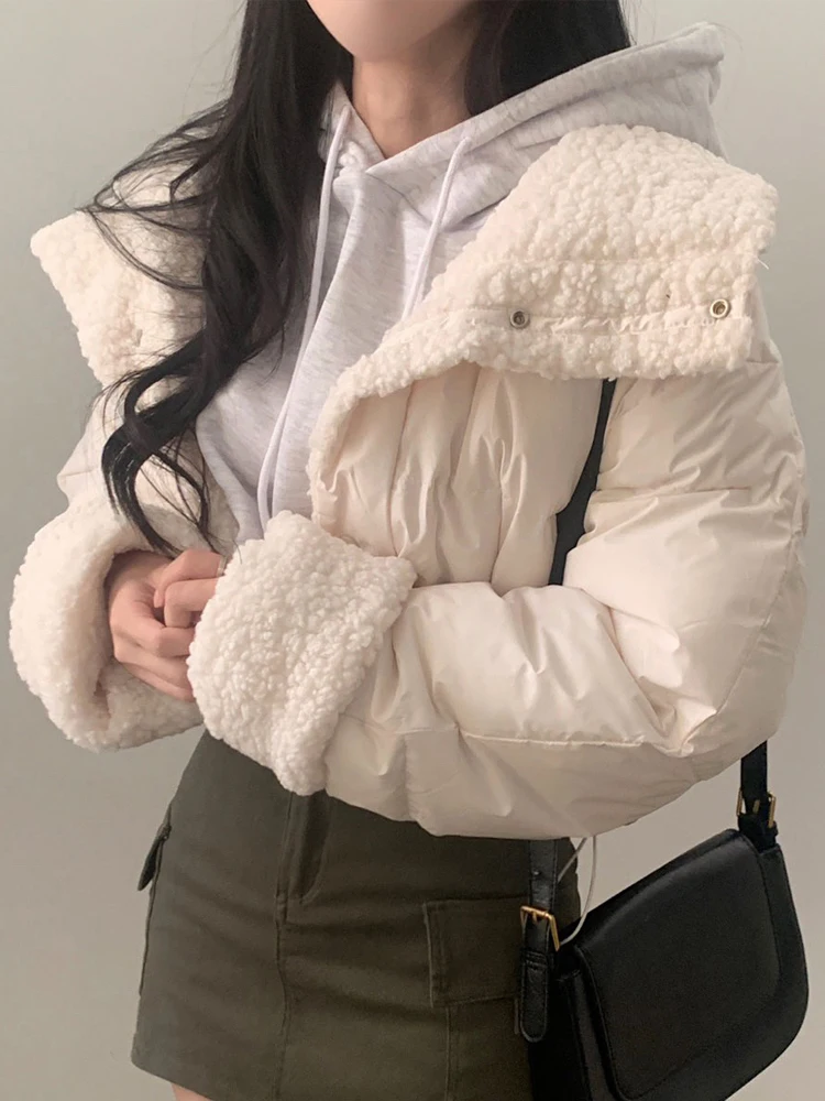 Short Jackets Women Korean Fashion Warm Lamb Wool Down Cropped Coats Female Autumn Winter Thick Double Sided Stand Collar Parkas