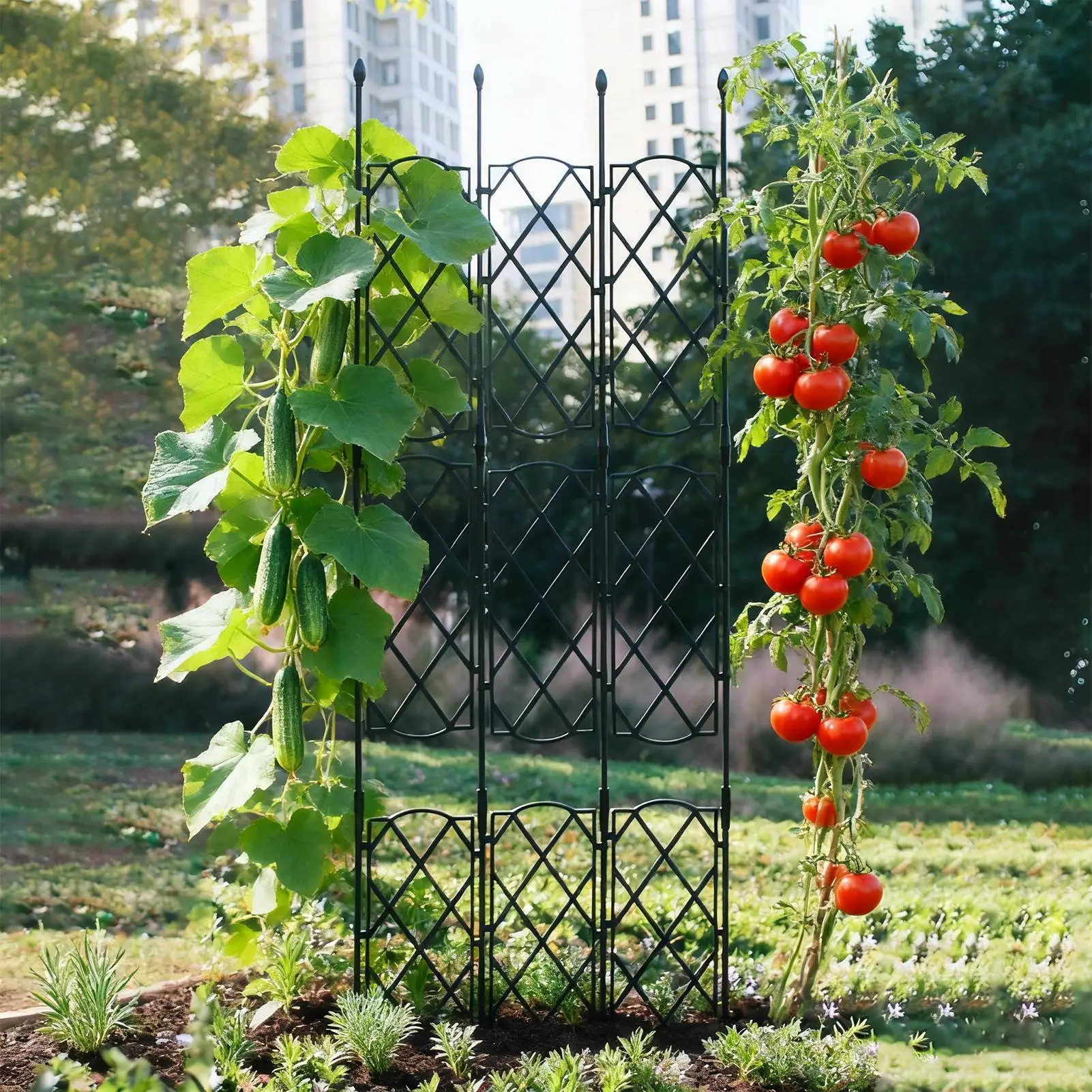 

Plant Trellis Houseplants Growing Obelisk Structures Climbing Cucumber Support Trellis For Balcony Terrace Yard Backyard