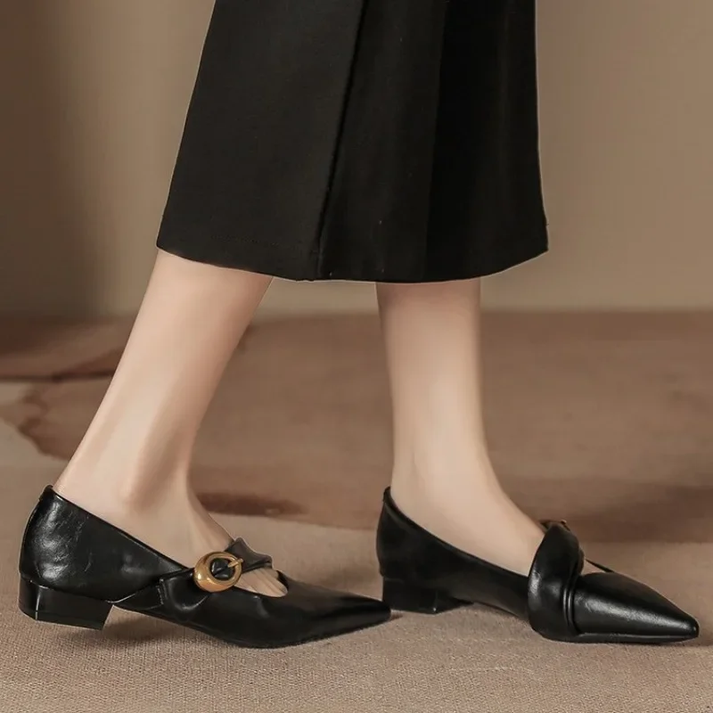 ファッションパーティードレスローヒールパンプスポインテッドトゥメリージェーンズレディースシューズ春秋女性ハイヒールバックルストラップ浅めシューズ