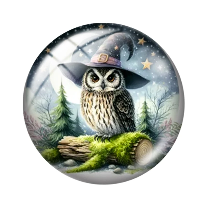 Magical Owl 10pcs Round Photo Glass Cabochon 12mm/16mm/18mm/25mm  Demo Flat Back Making findings