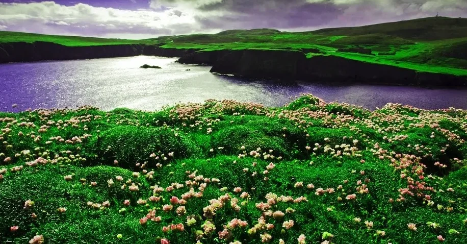 

Flywoo GOKU GM10 Mini V3 GPS (с компасом) — для гонок FPV и фристайла