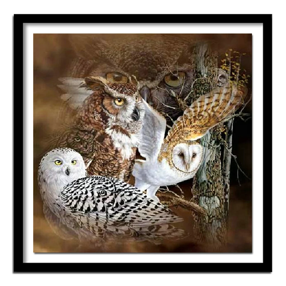 Full 5D Diamond Embroidery Cross Stitch Three Owl DIY Full Square Stick Drill Drawing Resin Diamond Painting Rhinestone