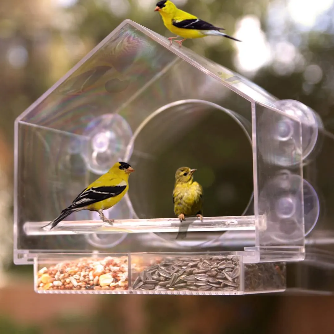 Window Bird Feeder Refillable Sliding Tray Outside Weather Rain Squirrel Proof Resistant Drain Rain Water Clear Transparent Bird