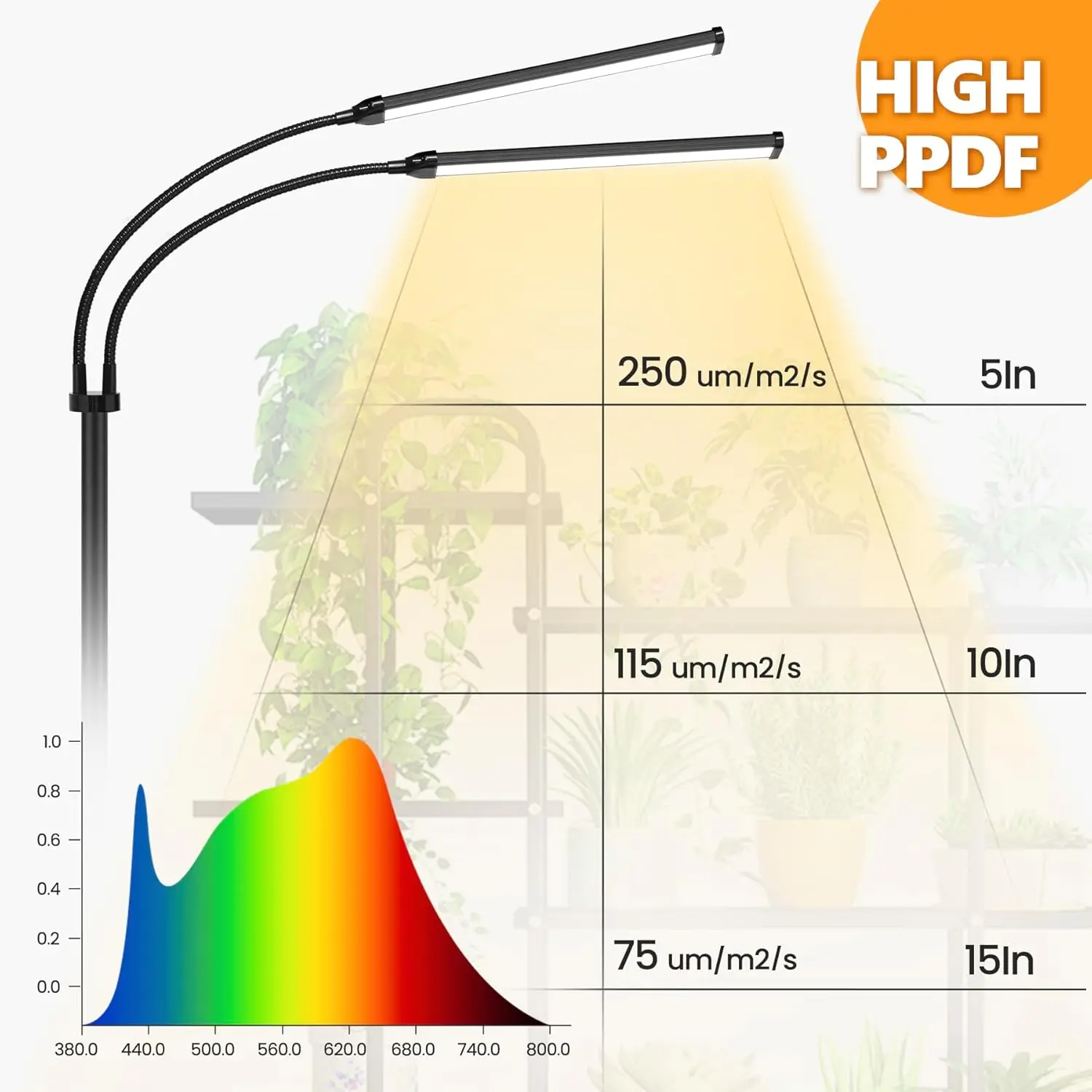 مصابيح نباتية مزدوجة الرأس للنمو الداخلي ، طيف كامل ، منطقة إضاءة واسعة ، ارتفاع 5.5 قدم ، حامل تلسكوبي