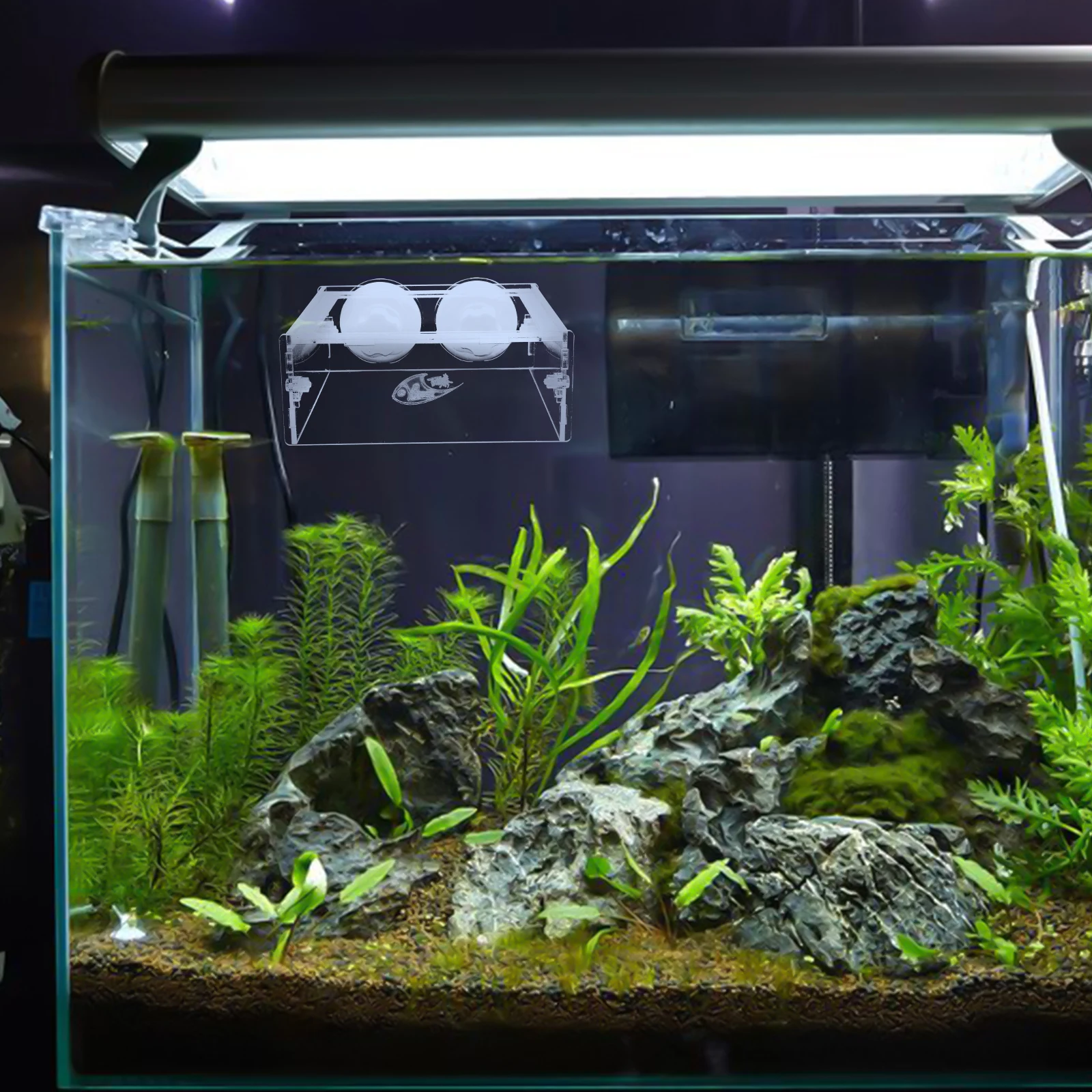 

Acrylic Feeding Ring Suction Cup Aquarium Feeder Floating Food Holder Saltwater Freshwater Tank Accessory Fish Feeding Tool Fish