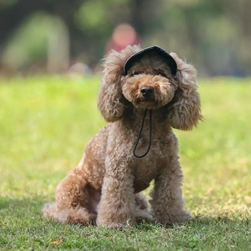QX2E Breathable Canine Baseball Hat Adjustable Strap Sunhat Sun Protections Secure For During Summer Adventure