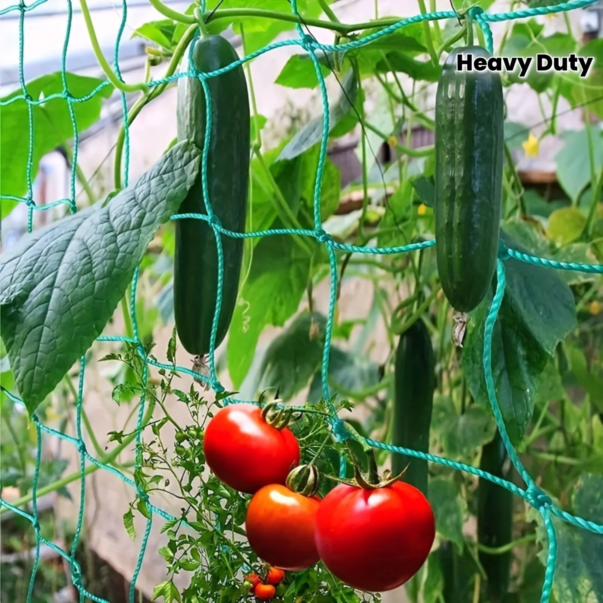 

Garden Trellis Netting – Heavy-Duty Polyester Climbing Plant Support, Square Mesh for Vegetables, Flowers, Pergolas