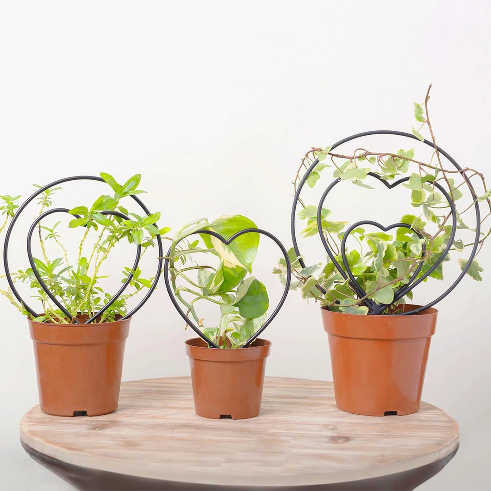 Garden Plant Support Stake Stand Round/Heart Shaped Iron Vine Climbing Rack Flower Plant Trellis Support Frame Garden Tools