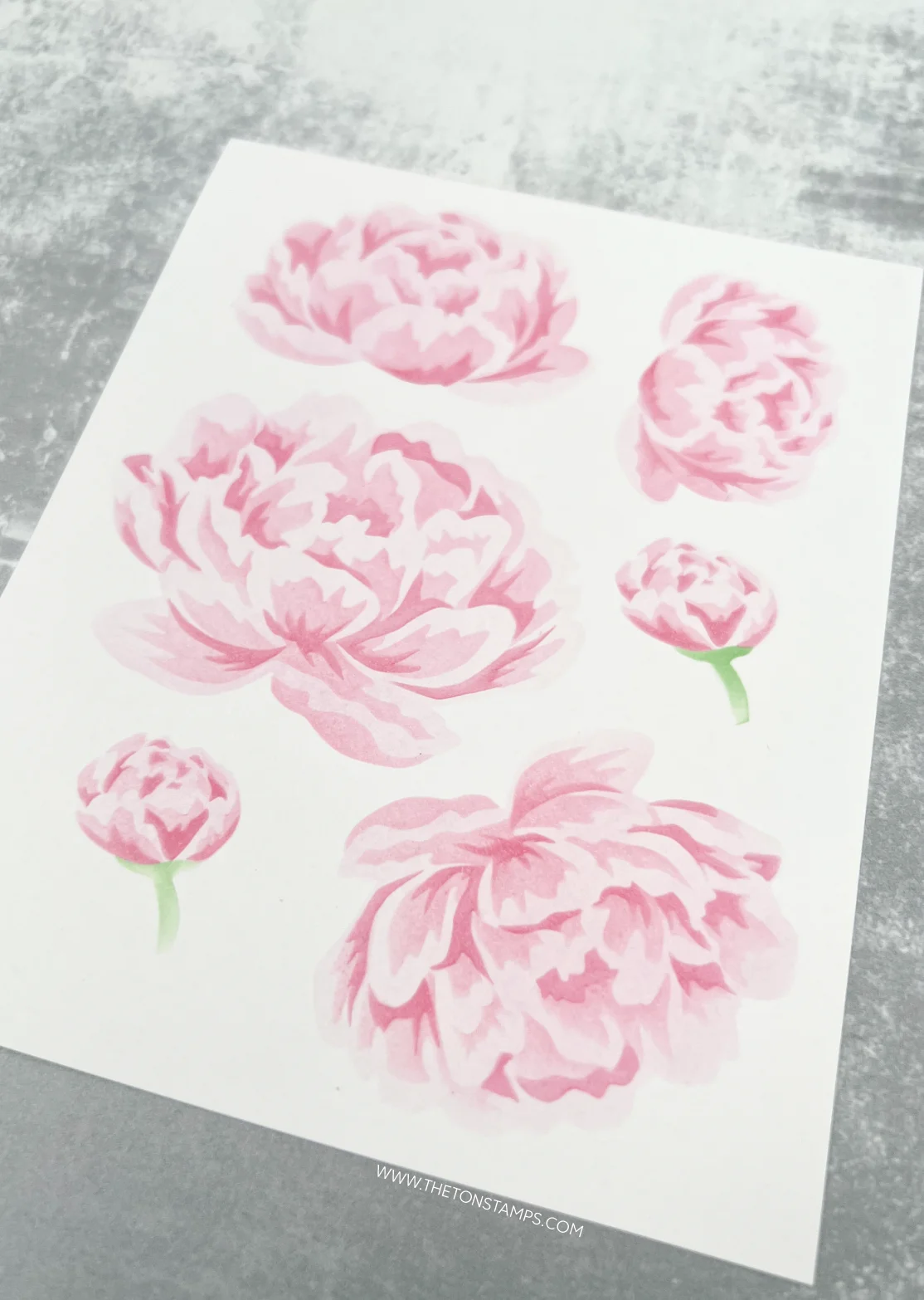 Peonies Flower Collection Stencil Metal Cutting Dies Clear Stamps DIY Scrapbook Handcraft Card Craft Template Decoration 2025