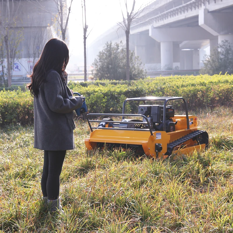Maßgeschneiderter Rasenmäher-R – Smart Garden Robot Bewertung und Preis